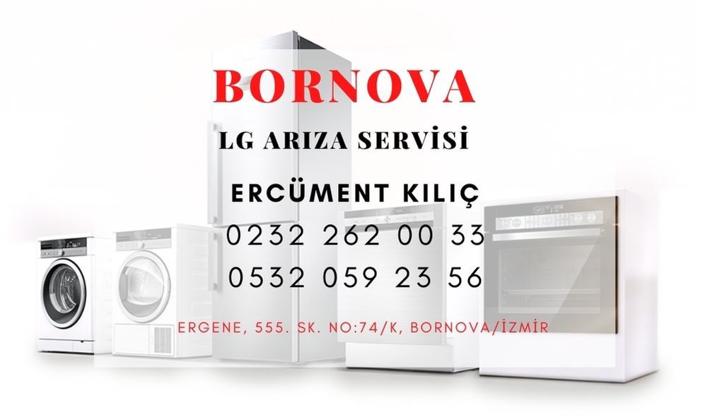 bornova-lg-ariza-servisi